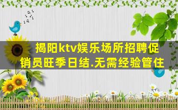 揭阳ktv娱乐场所招聘促销员旺季日结.无需经验管住